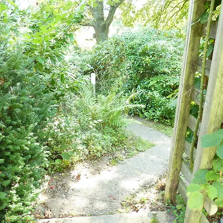 Daire Ferienwohnung Am Steilen Waldweg *