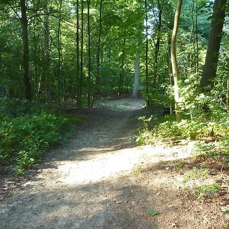 Daire Ferienwohnung Am Steilen Waldweg *